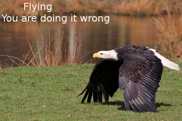 IMAGE: http://www.cons.org/IMG_5718_edit2_640.jpg